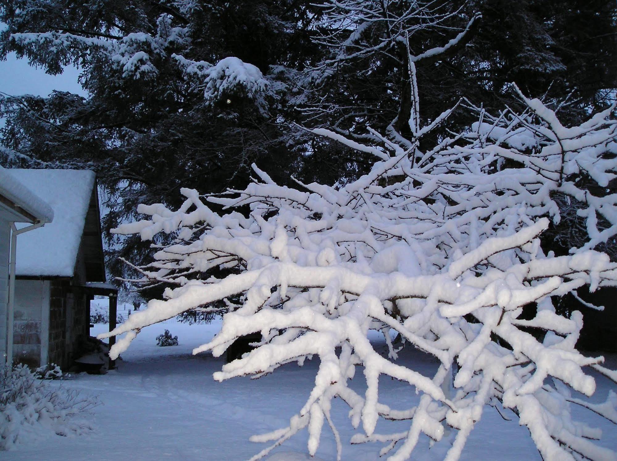 Miller Tree Inn Forks Exteriör bild